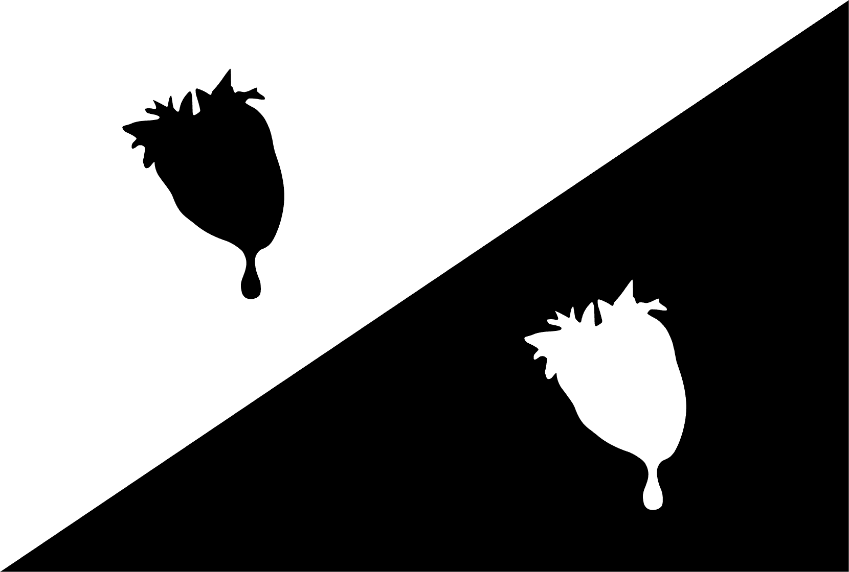 FVCproductions - Updated Logo