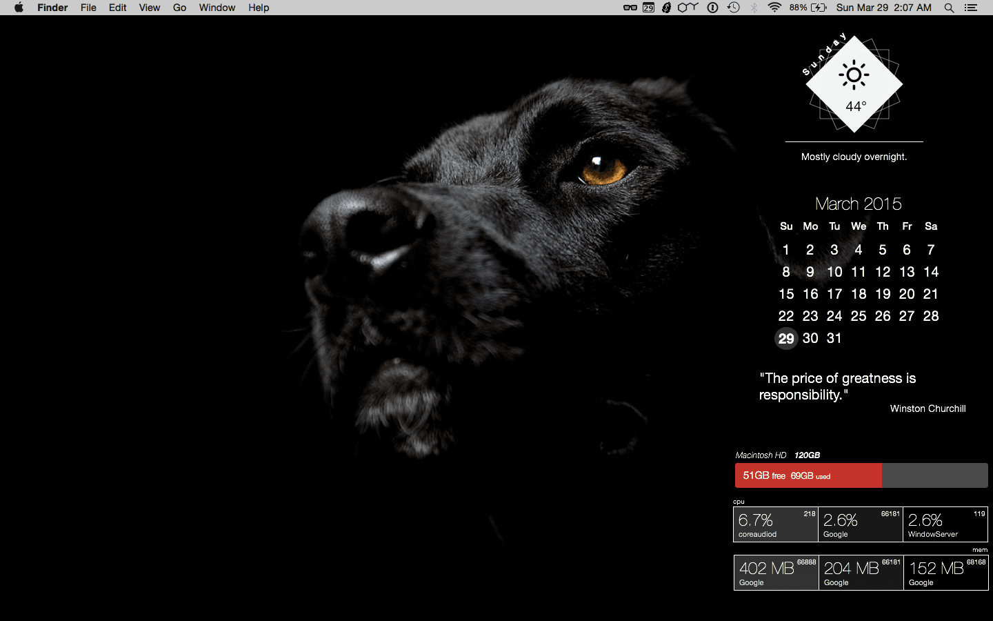 I'm Obsessed With Labs