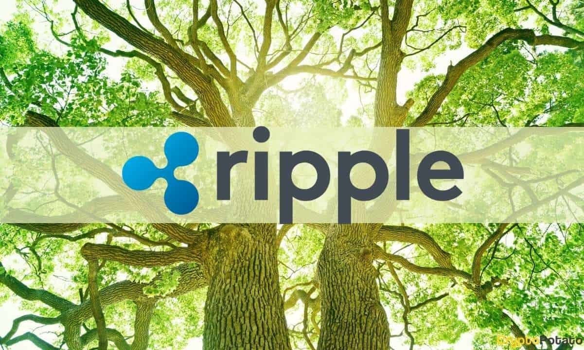 Mujeres Fuertes: Honoring Latina Leadership in Tech at Ripple’s Fireside Chat